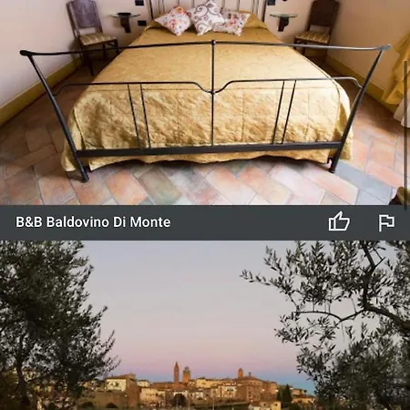 Baldovino Di Monte Couette-café Monte San Savino
